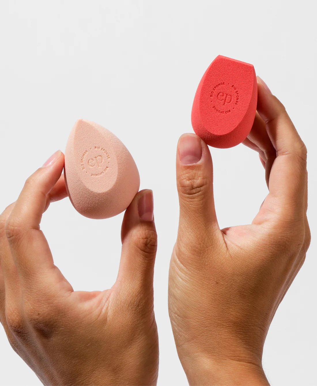 Bio All-Beauty Sponge